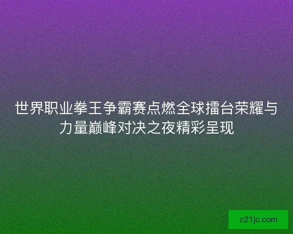 世界职业拳王争霸赛点燃全球擂台荣耀与力量巅峰对决之夜精彩呈现