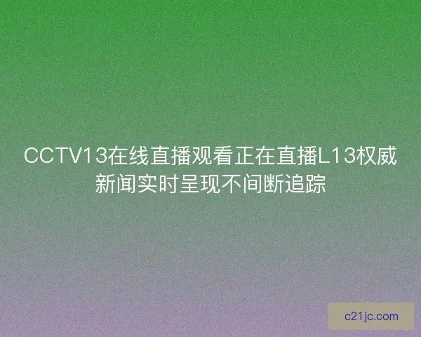 CCTV13在线直播观看正在直播L13权威新闻实时呈现不间断追踪